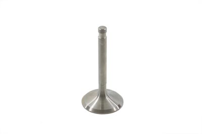 Stainless Steel Intake Valve