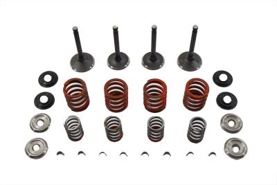 Nitrate Valve and Spring Kit