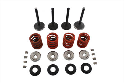 Nitrate Valve and Spring Kit