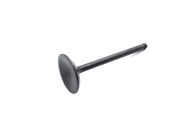 1200cc Nitrate Steel Intake Valve