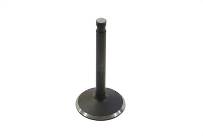 Stainless Steel Natural Intake Valve