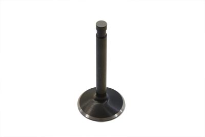 Stainless Black Diamond Intake Valve