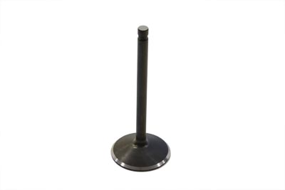 Stainless Black Diamond Intake Valve