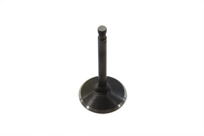 900cc Stainless Black Diamond Intake Valve