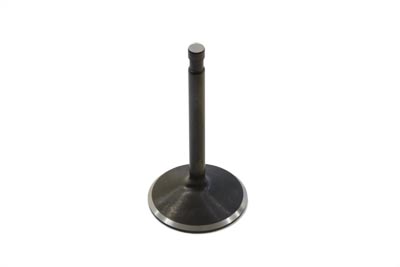1000cc Stainless Black Diamond Intake Valve