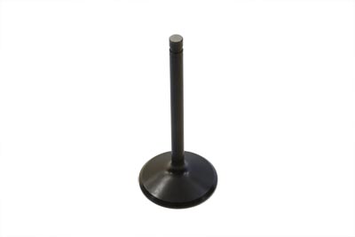 Stainless Black Diamond Intake Valve