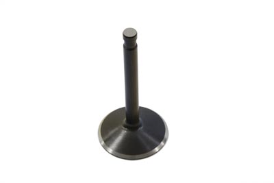 2.00 Black Diamond Nitrate Intake Valve