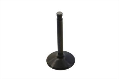 Black Diamond Stem Intake Valve