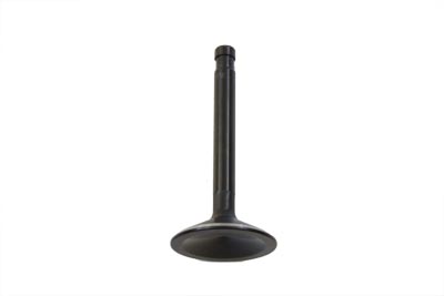 Black Diamond Stem Exhaust Valve
