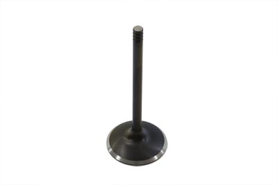 Black Diamond Stem Intake Valve