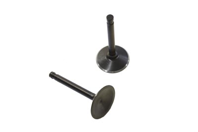 Nitrate Intake Valve