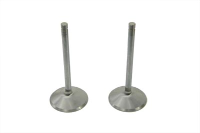 Stainless Steel Intake Valves