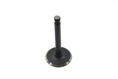Nitrate Intake Valve