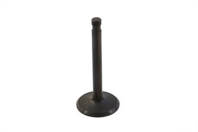 Stainless Steel Nitrate Intake Valve