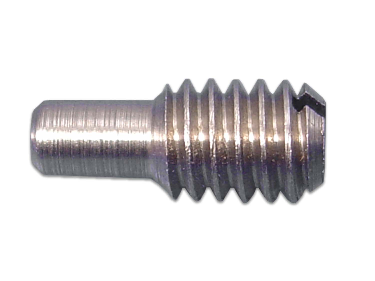 Right Crank Case Bushing Screw