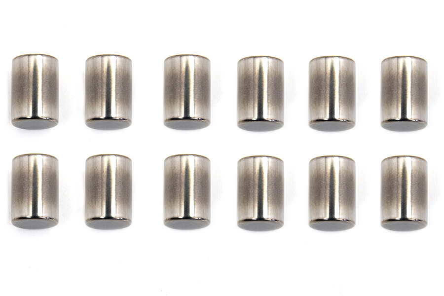 Standard Engine Case Roller Bearings Left Side