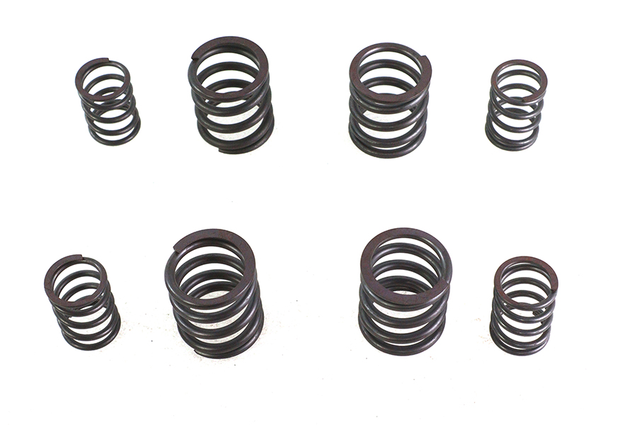 Valve Spring Set