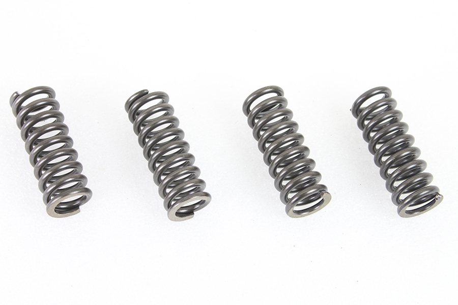 45" WR Valve Spring Set