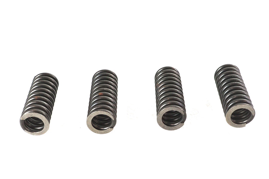 Valve Spring Set