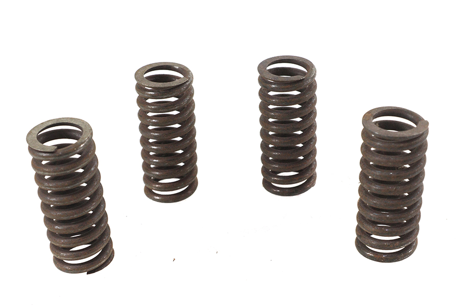 Valve Spring Set