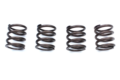 Kibblewhite Valve Spring Kit
