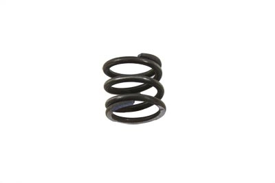 Lower Fork Slider Springs