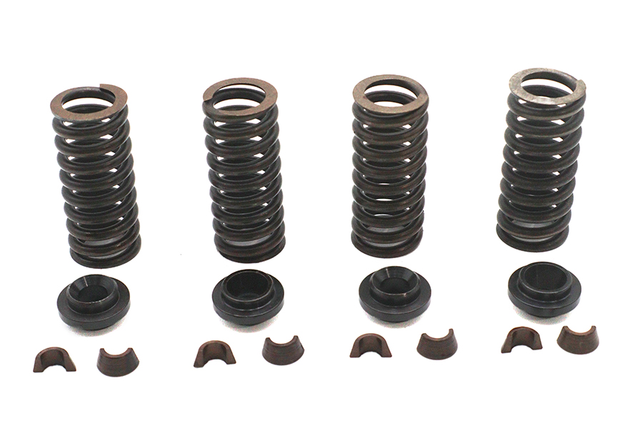 Valve Spring Kit