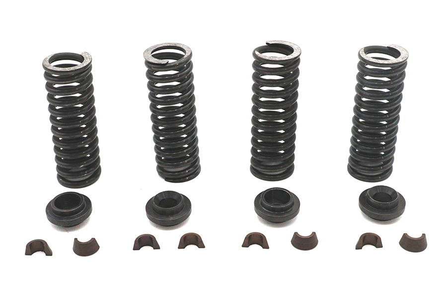 Valve Spring Kit