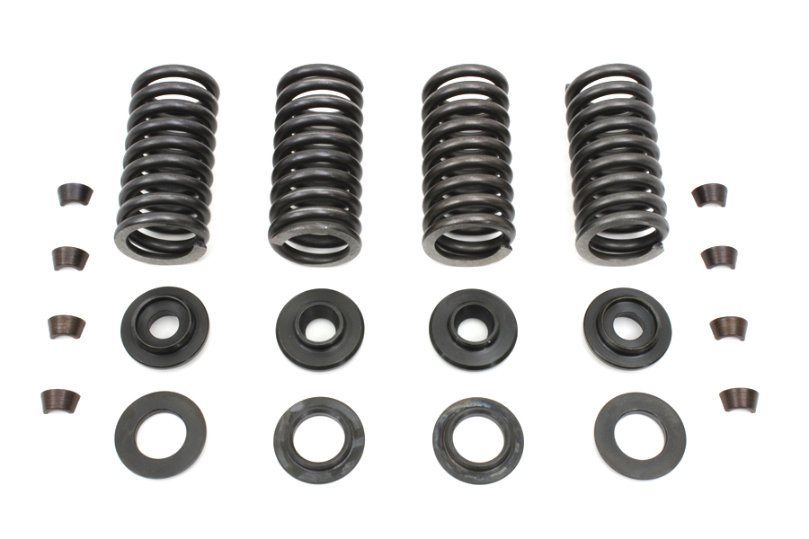 Valve Spring Kit