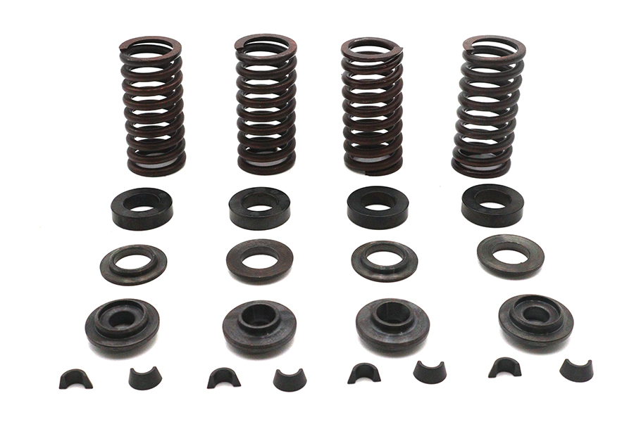 Valve Spring Kit
