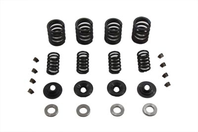 Sifton Valve Spring Kit