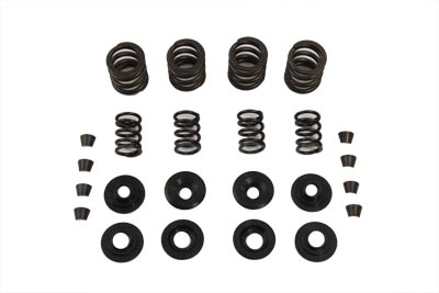 Sifton Valve Spring Kit