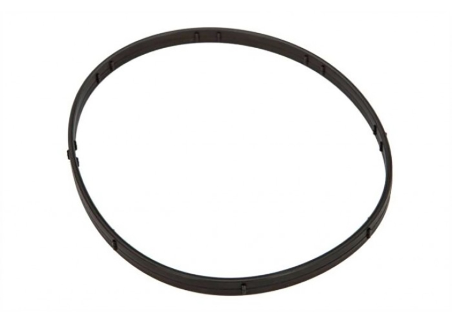 M8 Primary Derby O-Rings