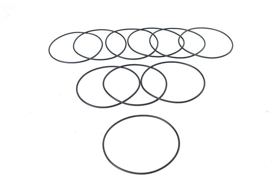 Rear Turn Signal Lens O-Ring