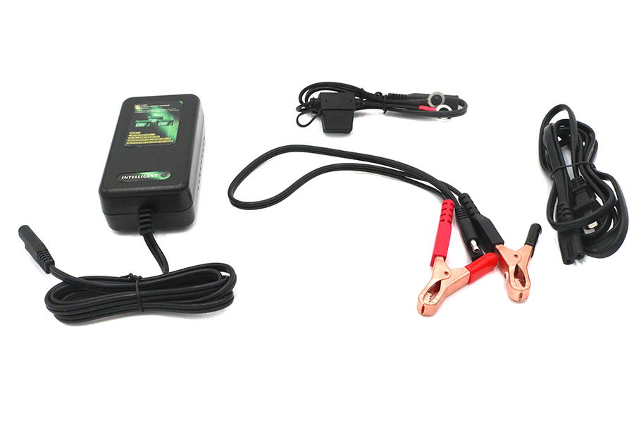 Skyrich Automatic Battery Charger