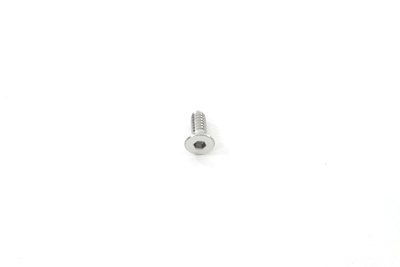 Stainless Steel Shifter Allen Screws