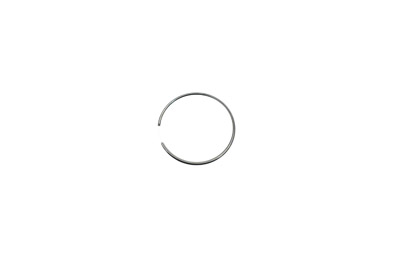 Piston Ring for Rear Brake Caliper
