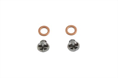 Fork Drain Screws