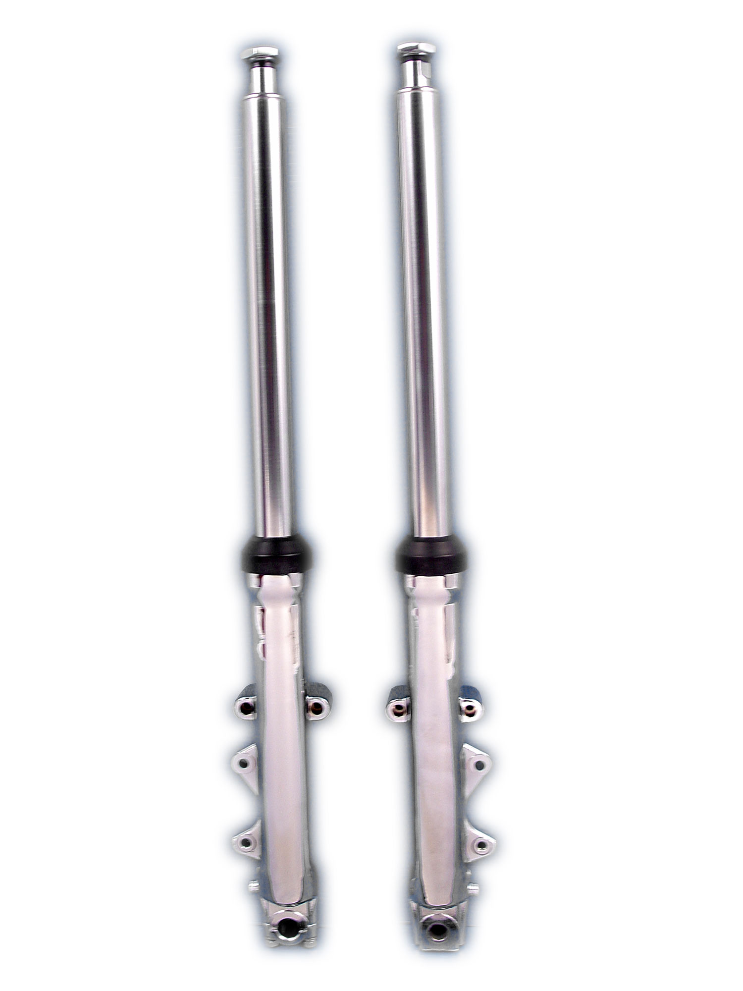 Dual Disc 41mm Fork Slider Assembly