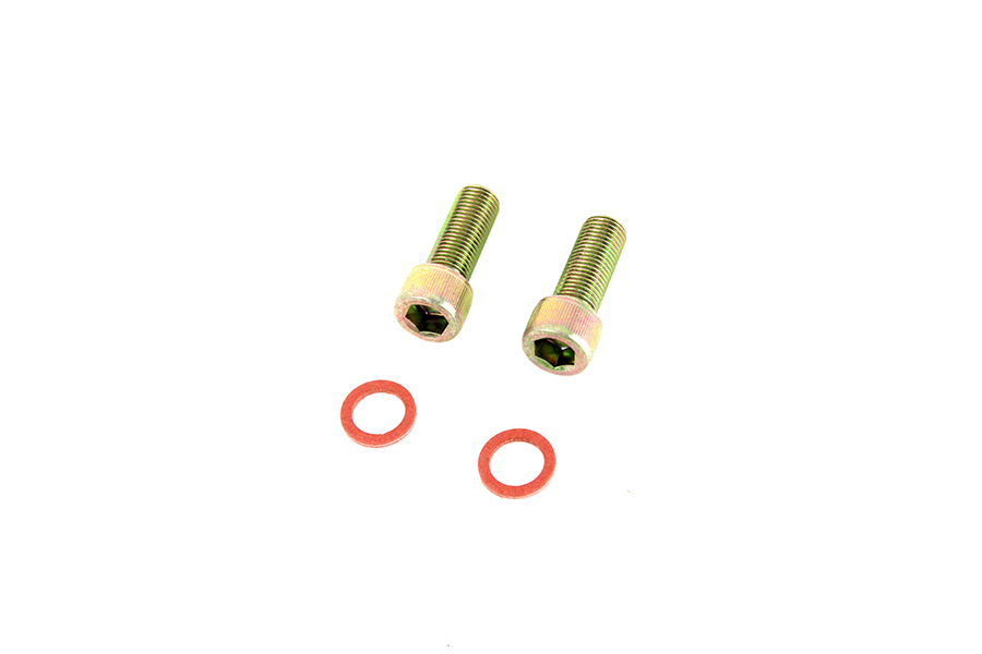 けー Damper Fork Tube Screw and Washer Kit Zinc Plated fits