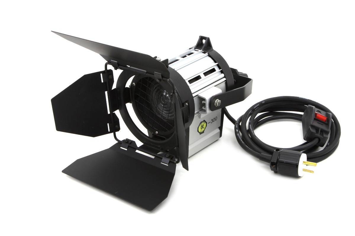 DTW 300 Tungsten Light