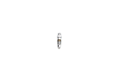 Caliper Bleeder Screw Chrome