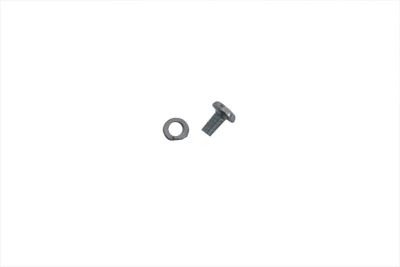 Switch Terminal Screws and Washers