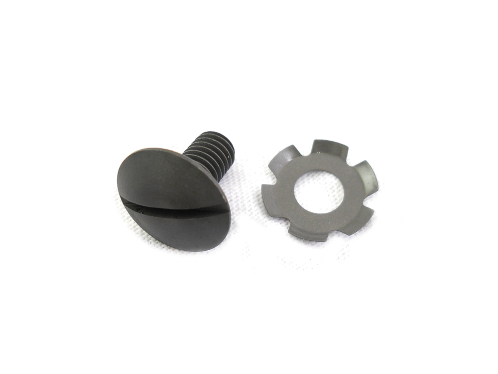 Parkerized Pivot Lever Screw and Spring Set