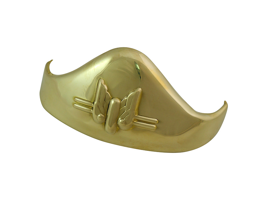 Polished Rear Fender Tip