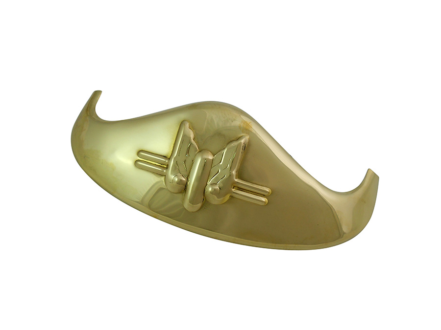 Polished Front Fender Tip