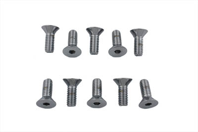 Chrome Allen Type Disc Screw