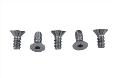 Chrome Allen Type Front Disc Screw