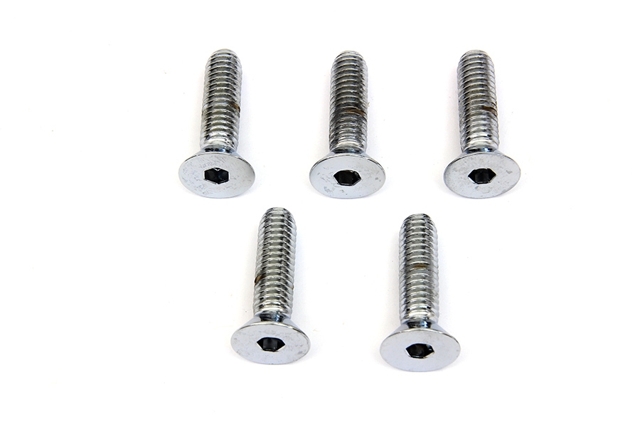 Front Disc Brake Screw Kit Chrome