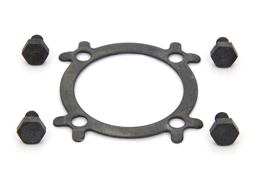 Linkert Air Cleaner Mount Screw and Lock Kit